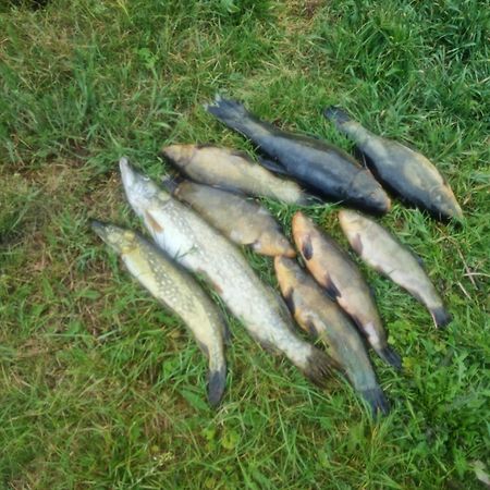 Вилла Eko-Fish Мястко Экстерьер фото