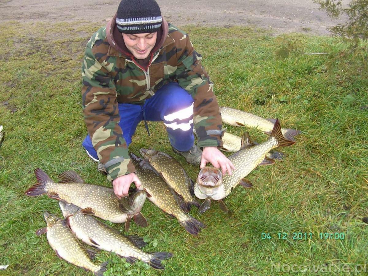 Вилла Eko-Fish Мястко Экстерьер фото