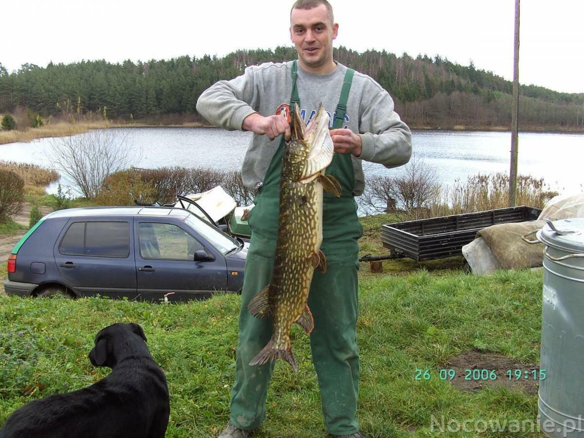 Вилла Eko-Fish Мястко Экстерьер фото